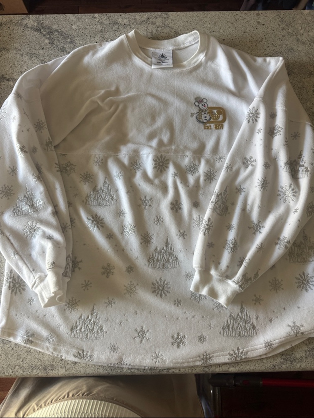 Disney Fleece Spirit Jersey
